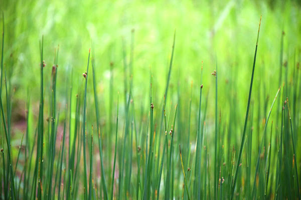 央视曝光网购家具甲醛检测骗局 专家教你识破假报告