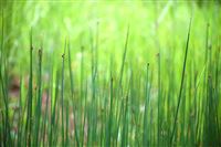 央视曝光网购家具甲醛检测骗局 专家教你识破假报告