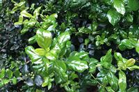 消除安全隐患！石景山区应急局联合多部门突查家居广场，向危化品非法行为“亮红牌”