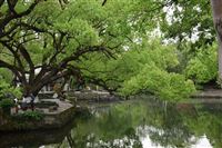 “汕头织造”冲刺超2000亿元产业集群目标 内衣家居服产量占全国近半