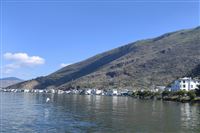 2025年温岭市消费品市场发展情况分析