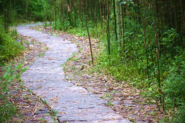 【HUSKY小课堂】告别运维、管理焦虑！“优势 ”智能服务，生产运行buff叠满！