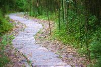 【HUSKY小课堂】告别运维、管理焦虑！“优势 ”智能服务，生产运行buff叠满！